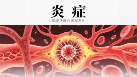 神经系统疾病 25